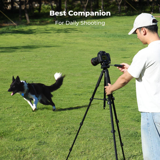 K&F CONCEPT 75" Travel Camera Tripod | Lightweight Tripod for DSLR, Mirrorless & Phone