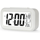 DTL Digital Alarm Clock