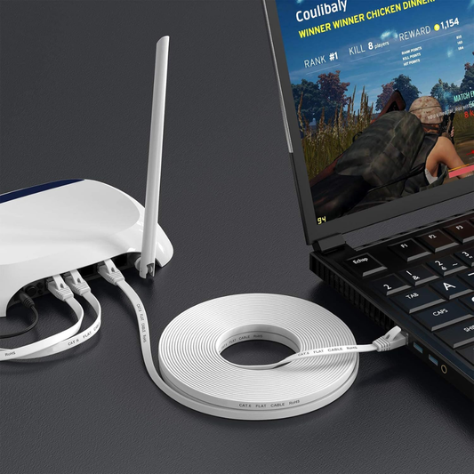 Nixsto 5M Cat6 High-Speed Ethernet Cable